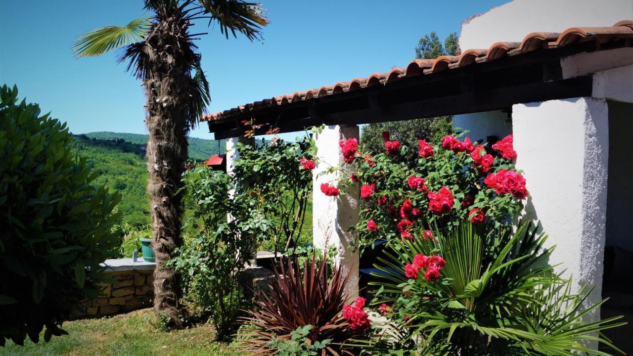 Apartments Garden Motovun Exterior foto